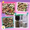 Lithops Germination Sowing Kit -Soil-Seeds
