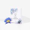 SNOW FOX SKINCARE Face Pack (5 Per Box) (Hot Stone)