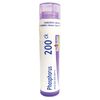 Boiron Phosphorus 200CK, 80 Pellets, Homeopathic Medicine for Dizziness