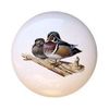 Wood Duck - Ducks - DECORATIVE Glossy CERAMIC Cupboard Cabinet PULLS Dresser Drawer KNOBS