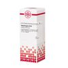 DHU Staphisagria D12 Dilution, 20 ml Lösung