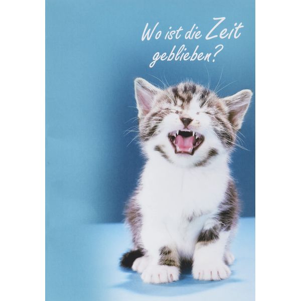 Basic Classic Birthday Card - Cat - 11.6 x 16.6 cm