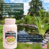Planttabbs Products PondTabbs Plus - 60 ct