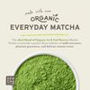 SENCHA NATURALS Green Tea Mints Moroccan Mint Single Canister