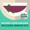 Plax Advanced Formula Anti-Plaque Dental Rinse-Soft Mint-24 oz (Pack of 5) by Plax