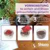 Shiazo Stones Watermelon 100 g