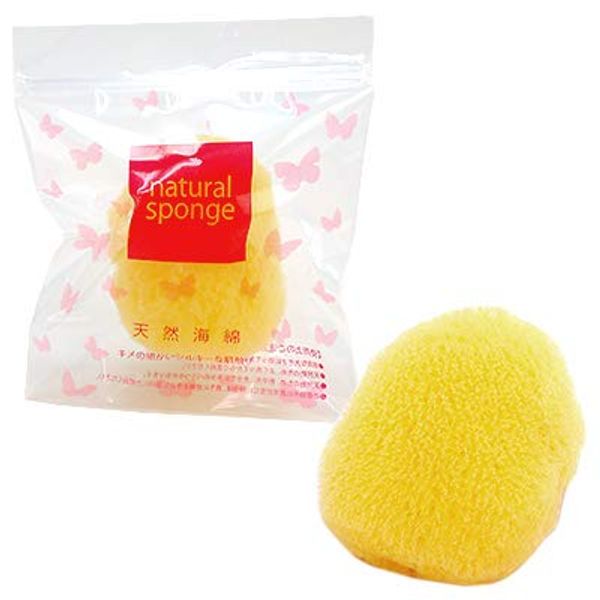 HOKUTO Natural Sponge Absorbent with Ziplock Bag (1)