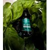 Basil Organic Essential Oil- 100% Pure and Undiluted