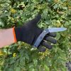 Glacier Glove Inner Poly Liner for Gloves - L/XL - Black