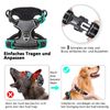 HEELE No Pull Dog Harness - Small, Reflective, Adjustable with Front & Back Leash Attachments & Soft Padded Control Handle for Dogs Walking & Training, Grey, S