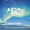 aurora arc (初回限定盤B)(CD+BD)