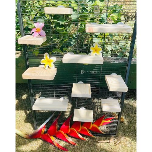 10 Piece Kiln Dried Pine Wood Ledges, Platform, Steps for Chinchillas, Rats, Birds and Caged Critters. Chinchilla Cage Accessories.