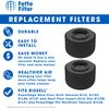 Fette Filter - Replacement Filter Pack Compatible with Bissell 54A2 for PowerEdge Hard Floor Vacuums. (2-pack)