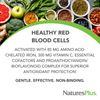 Naturesplus Hema Plex Iron 60 Count High Potency Chelated Iron Supplement
