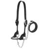 Weaver Leather Livestock Dairy/Beef Rounded Show Halter , Black, Large