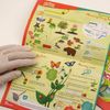 Science4you 921387.006 My First Science Kit, Mixed Colours