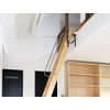 1 x Anti-Fall Belt for Safety Ladder