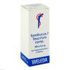 Sambucus / TEUCRIUM Comp.Dilution 50 ml