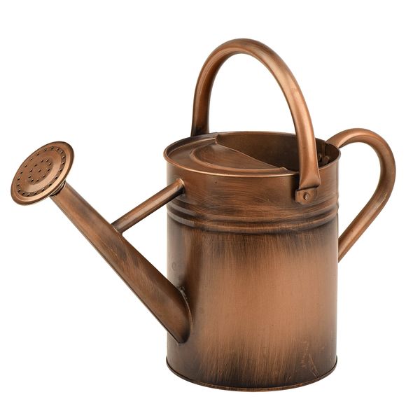 Homarden 1 Gallon Copper Decorative Watering Can - Metal Watering Cans for Indoor and Outdoor House Plants - Removable Spout and Dual Handles - Small Watering Can for Bonsai Plant - 16.1Dx6.2Wx7.9H in