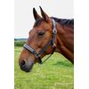 Hy Equestrian Anodize Leather Head Collar (Cob, Black/Silver)