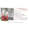 Art Four Seasons Mini Colored Mini Dome Pink Preserved Flowers