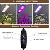 Full Spectrum Desk Growth Lamp Automatic Timer LED Plant Growing Adjustable