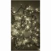 Holiday Wonderland SL100WWTW LED Compact String 100-Light Set, Micro, Twinkling
