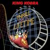 Thrill Of A Lifetime
