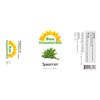 Sun Organic Spearmint Essential Oil 4 Fluid Ounces for Diffuser, Spearmint Aromatherapy and Candles