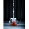 Bodum K1844-01-10 Teapot Set