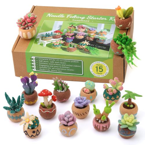 Needle Felting Kit, 15 PCS Succulent Beginner Needle Felting Kit, Needle Felting Tools, Wool Felting Kit Including Wool Roving, Foam Mat, Felting Needles and Instructions for DIY Felting Starters