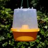 Russell IPM Wasp trap wasp catcher