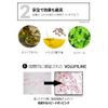 Keybo Lip Plus Plumper/Volume, Plump Lip Makeup (Master)