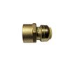 1 PIECE 3/4" PUSH FIT X 1" FNPT FEMALE THREADED ADAPTER
