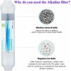 10 Inch Inline Alkaline ph+ Water Filter for Reverse Osmosis RO System-1/4” Port