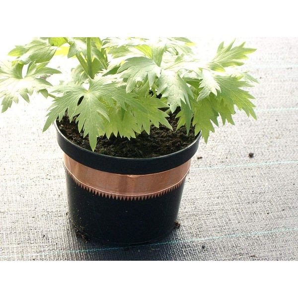 Agralan Copper Snail & Slug Tape 5m