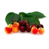 Bellindora Vinegar 900101 Balsamic Cherry - Pack of 3