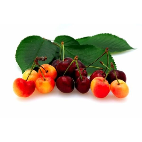 Bellindora Vinegar 900101 Balsamic Cherry - Pack of 3