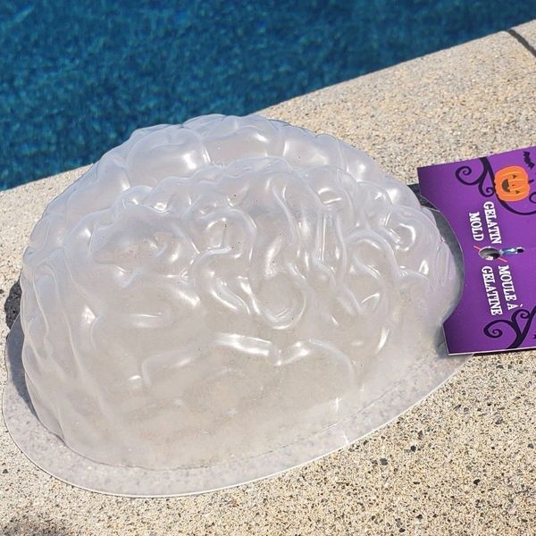 Brain Jello Mold Halloween Party Science Horror Decoration Dessert Human Brains