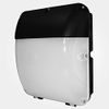 Eterna WPACKLED 30W Integrated LED Bulkhead Wall Light
