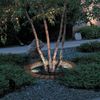 LED Well Light Low Voltage Landscape Lighting Garden Deck Light In-ground