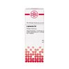 DHU Leptandra D4 Dilution, 20 ml Lösung