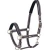 Standard halter pin buckle