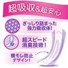 Whisper Thin Water Absorption, 3.5 fl oz (100 cc), 10.6 inches (27 cm), 20 Pieces (Women's Absorbent Care, Urine Leak Pad)