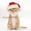 Prymal Comfort Santa Dog Cat Costume