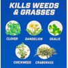 NEW Ortho GroundClear Weed & Grass B-gon WITH Trigger Sprayer - 1 Gallon
