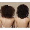 Tea Tree Lavender Mint Defining Gel, Lightweight Frizz Control, For Coarse, Curly + Dry Hair, 6.8 fl. oz