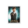 Standard Art Sleeves - Wizarding World - Hpotter (100)