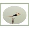 Grayling Flies, 36 Boxed set, various design & size, suitable for grayling NBX77