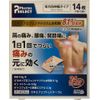 【第2類医薬品】ロキエフェクトLXテープα 14枚入